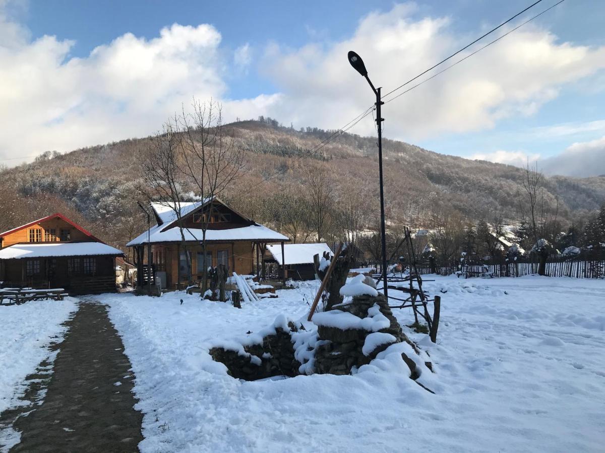 Apartament Casutele Doftanei Teşila Zewnętrze zdjęcie