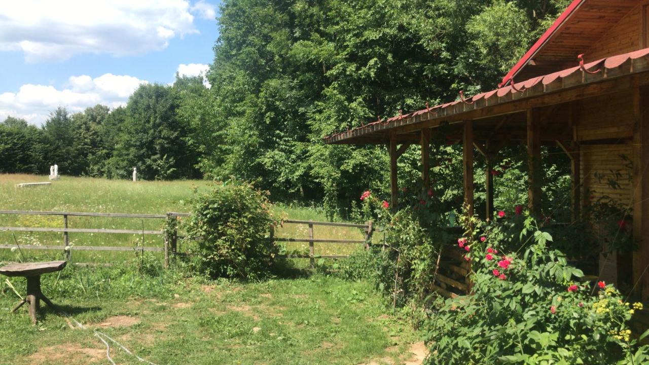Apartament Casutele Doftanei Teşila Zewnętrze zdjęcie