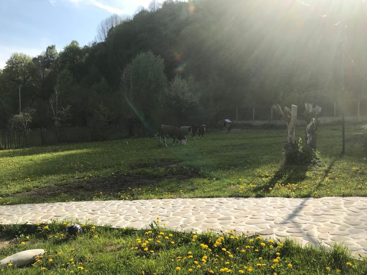 Apartament Casutele Doftanei Teşila Zewnętrze zdjęcie