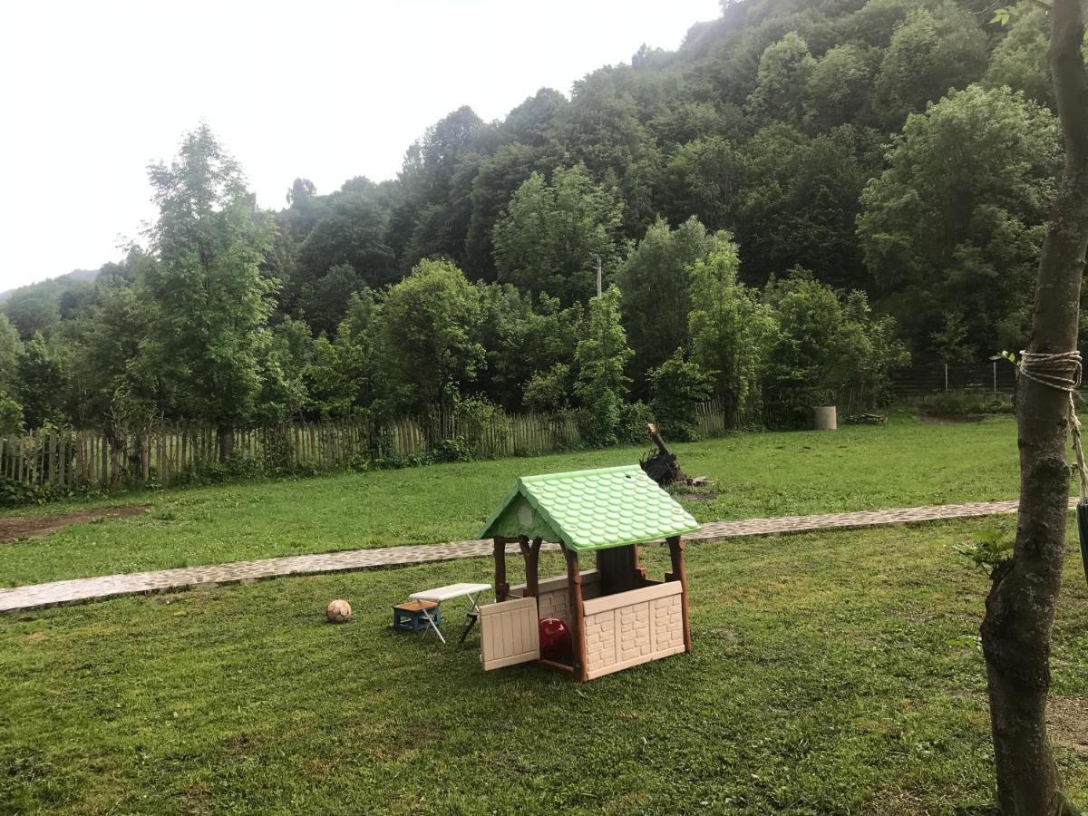 Apartament Casutele Doftanei Teşila Zewnętrze zdjęcie